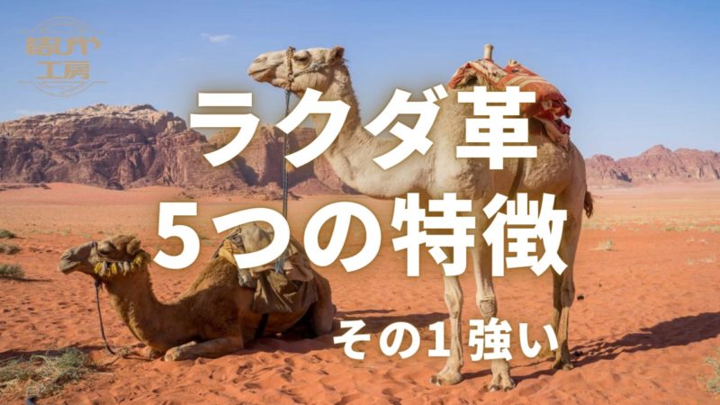 ラクダ革5つの特徴【その1 強い】 