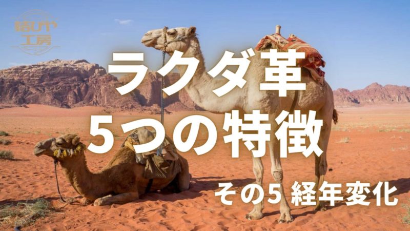 ラクダ革5つの特徴 【その5 経年変化を楽しめる】 
